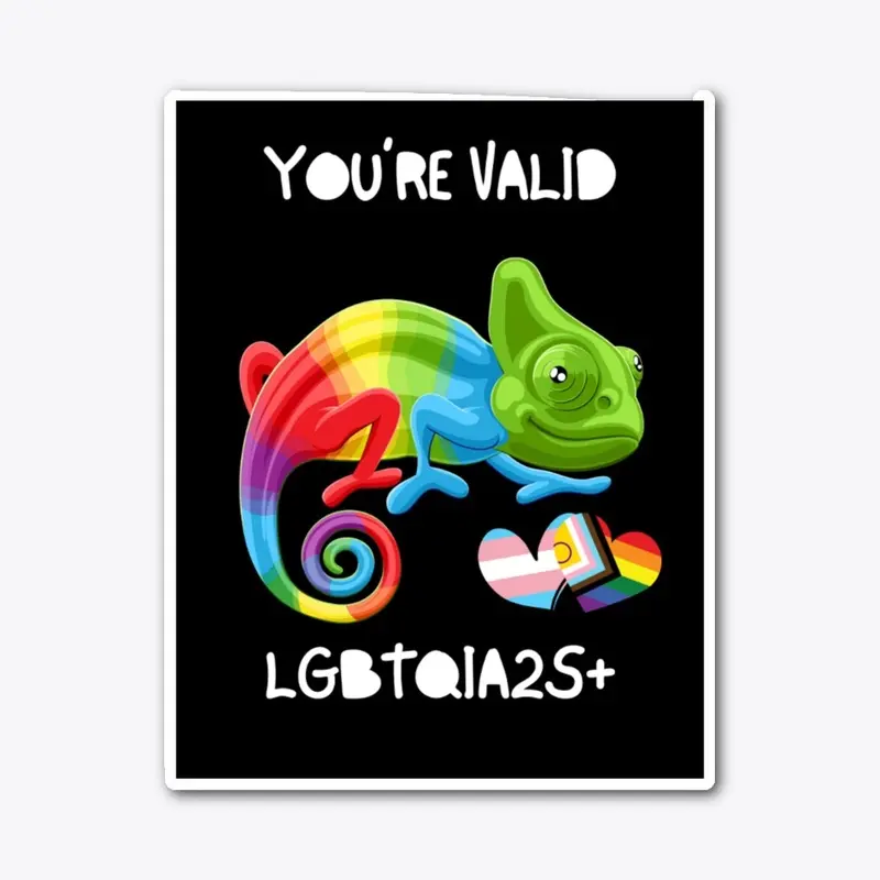 You're Valid LGBTQIA2S+